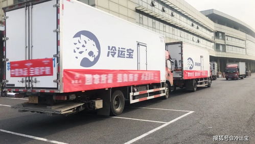 若人民有召唤,这家平台使命必达