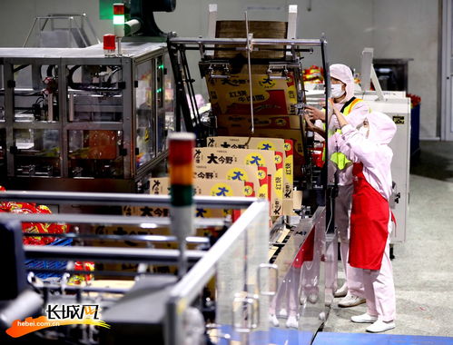 高清组图 河北隆尧 做强做优食品产业链