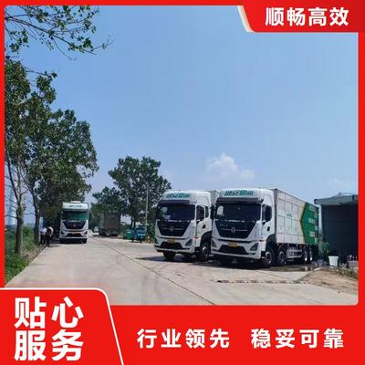 滁州仔猪恒温车专业运输 全程恒温与定时投喂的贴心保障